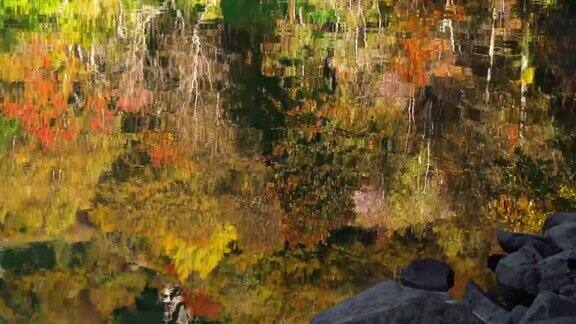 秋天树木倒映在水中五彩缤纷的湖面秋叶