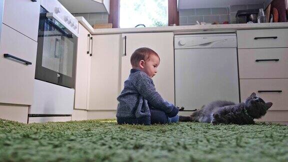 小男孩和猫玩