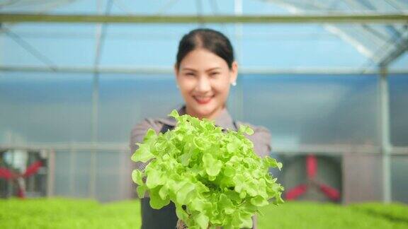 亚洲女农民正在现代水培蔬菜大棚农场展示她们的农产品