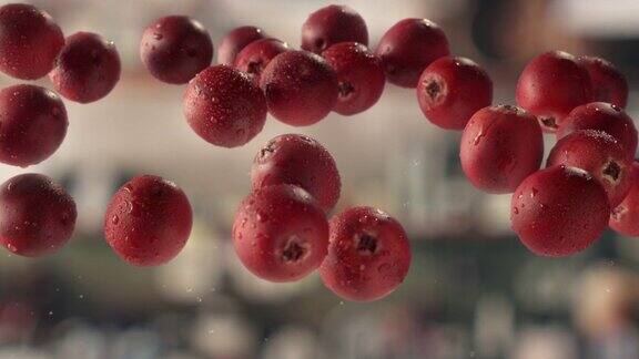 空气中飘着蔓越莓
