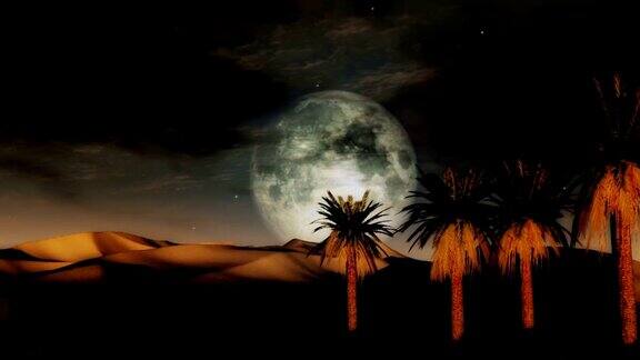 满月日落沙漠绿洲与棕榈树和沙丘
