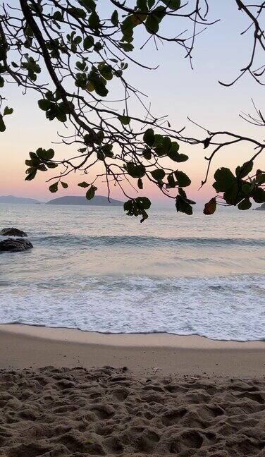 阳光明媚的一天海滩上美丽的海浪景色垂直视频