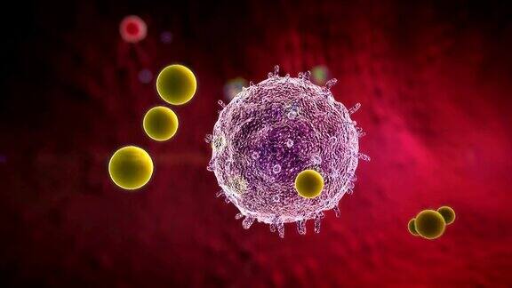 巨噬细胞、病毒