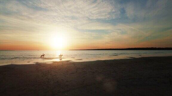 两个女孩在海滩上骑马水上赛马在这张航拍照片中可以看到美丽的日落