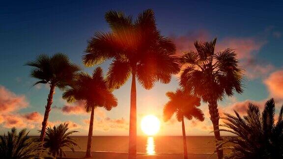 日落时分的棕榈岛