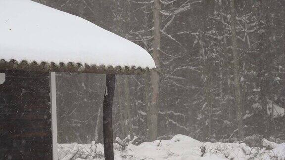 爱沙尼亚小木屋的屋顶上覆盖着厚厚的积雪