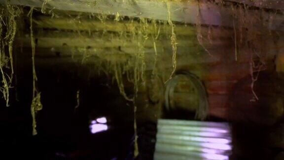 废弃的地下室天花板上挂着蜘蛛网废弃的地下室天花板上挂着蜘蛛网
