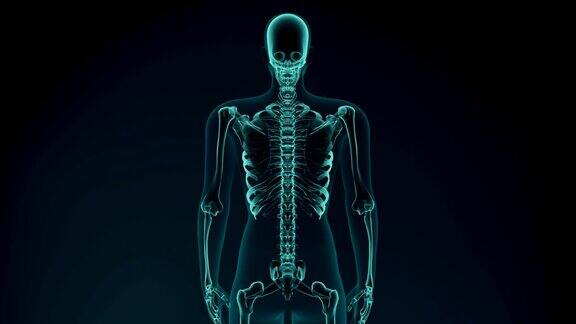 疼痛的椎骨的3d渲染图医学概念动画