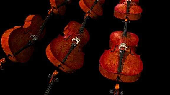 零重力循环中的大提琴