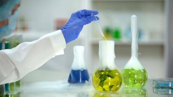 生物化学家从烧瓶中提取黄色有机物样品植物提取