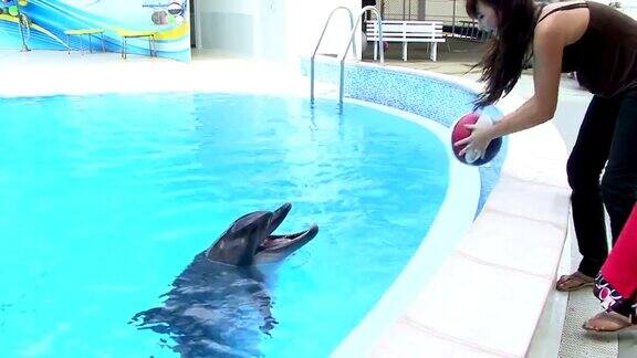 海豚和女孩
