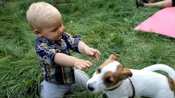 一个小男孩在后院和一只狗玩