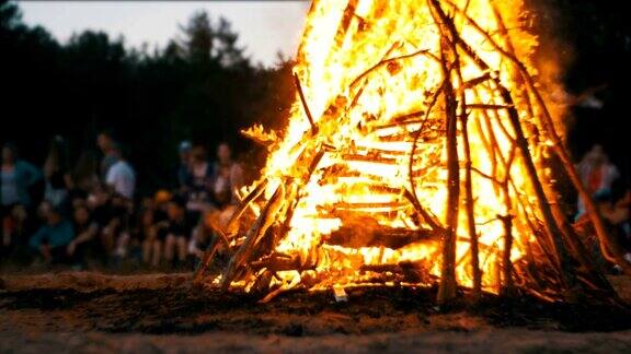 篝火的树枝在夜晚燃烧在森林的背景上的人