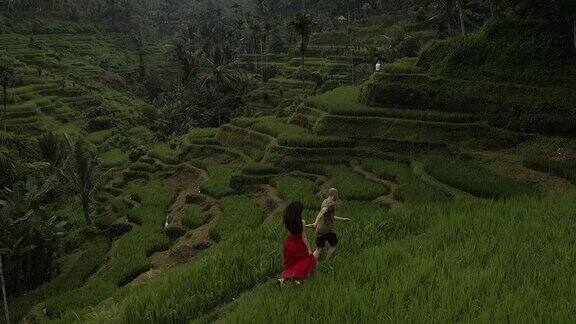 一对情侣站在巴厘岛奇妙的稻田上热吻
