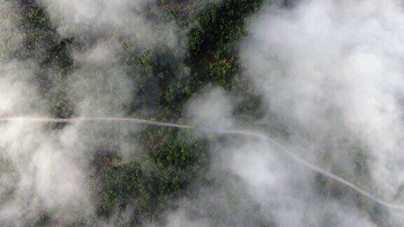 穿过森林的道路鸟瞰图