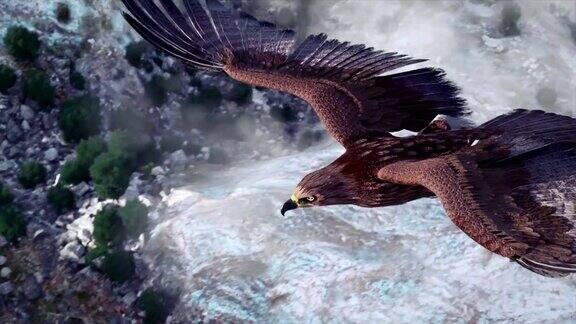 展翅高飞的雄鹰伴着群山和天空