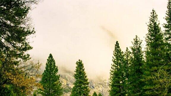 时间流逝-雾移动约塞米蒂山谷松树