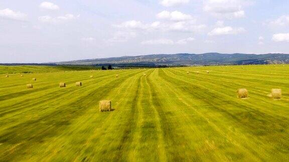 背景山上绿色的田野上堆着一捆捆干草鸟瞰图