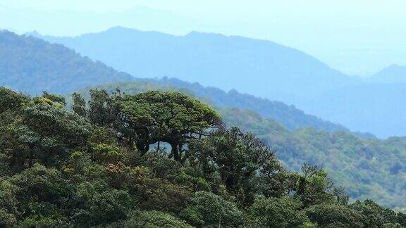 4K素材探索热带高山大风在泰国南部的热带雨林山上山顶上的雾滚滚流过放松和户外概念