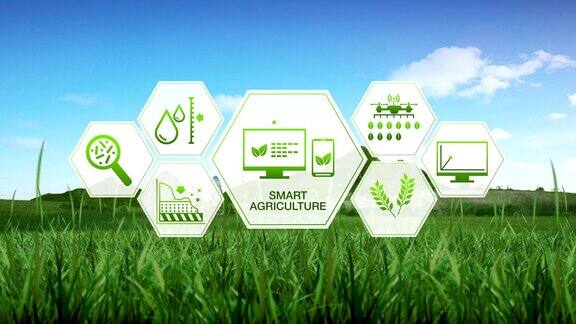 智慧农业智慧农业大麦绿田六边形信息图形图标物联网4工业Revolution.1
