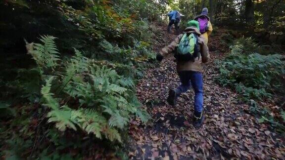 两家人一起在秋天的森林里徒步旅行