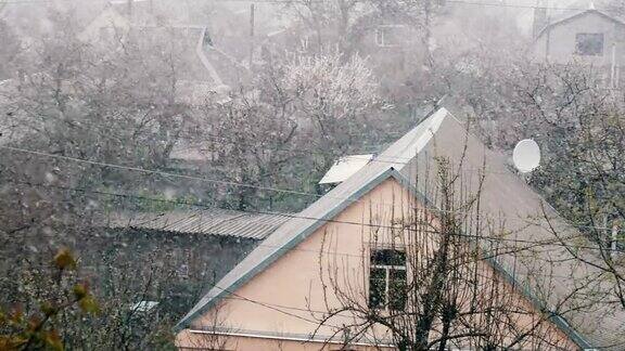 在春天Smow雪花落在枝繁叶茂的街道上