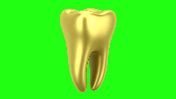 金色的人类牙齿环在绿色背景上旋转