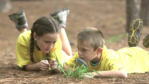 两个孩子在公园里用放大镜检查虫子