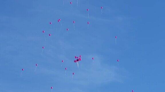 一个心形气球和几十个粉色气球被放飞他们飞向天空