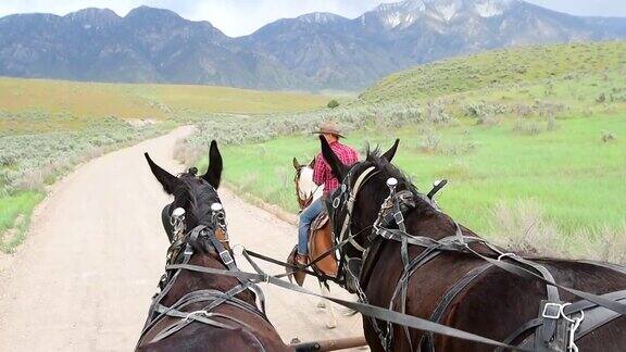 马车观点的马和在犹他州牛仔的后视镜