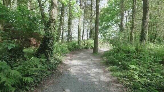 漫步在北爱尔兰春天的乡间小路上