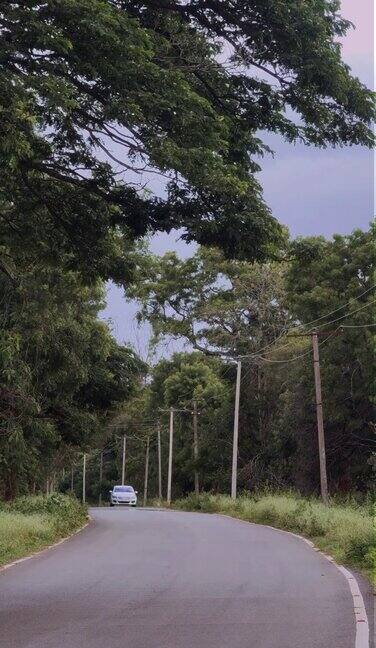 在白天4K的森林公路上快速行驶的汽车正在接近摄像机
