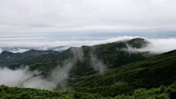 鸟瞰图山上森林覆盖着云