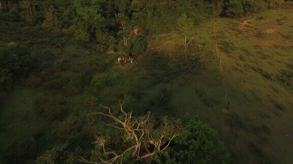 无人机拍摄的一群农场志愿者在巴西的田地