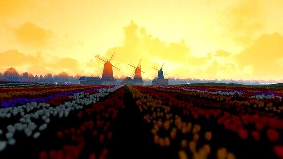 传统的荷兰风车前景是生机勃勃的郁金香晨雾摇盘