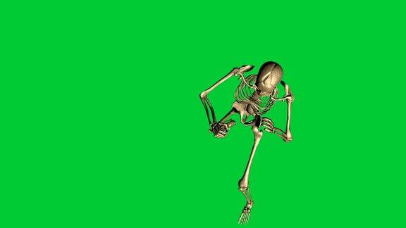 骨骼拳击的3d动画-在绿色屏幕上分离
