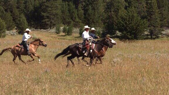 三个牛仔骑着马慢镜头