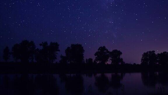 树木和湖泊上方的夜空