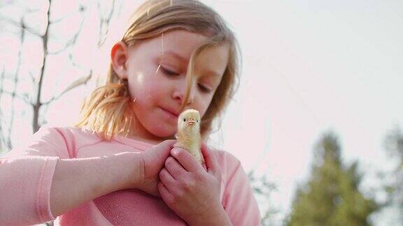 小女孩在后院里和小鸡玩