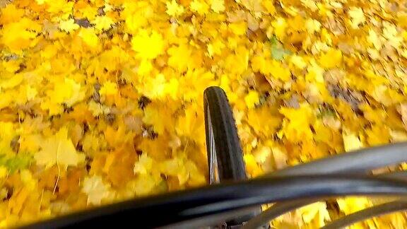 骑自行车的人骑在秋天的落叶上