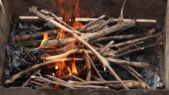 燃烧的柴枝特写火在户外点燃篝火Picni