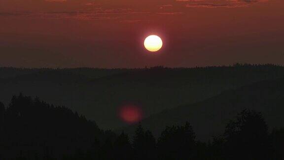 太阳从森林中升起