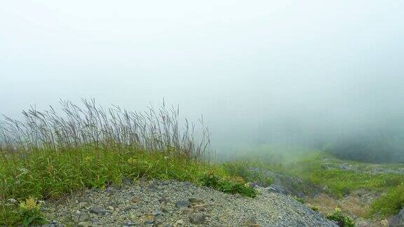 高原夏季多雾凉爽