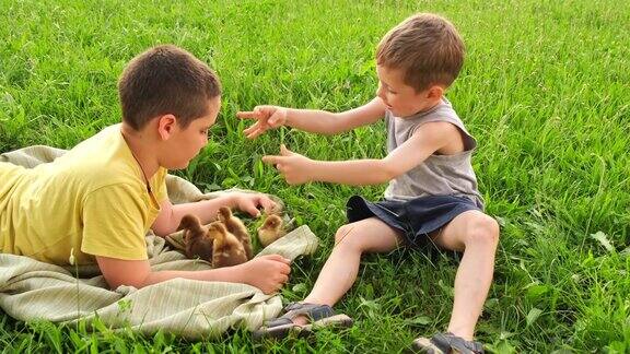 两个可爱的小朋友在草地上玩耍