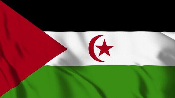 西撒哈拉旗帜循环可4K分辨率