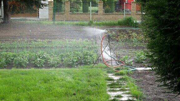 花园里的自动洒水器
