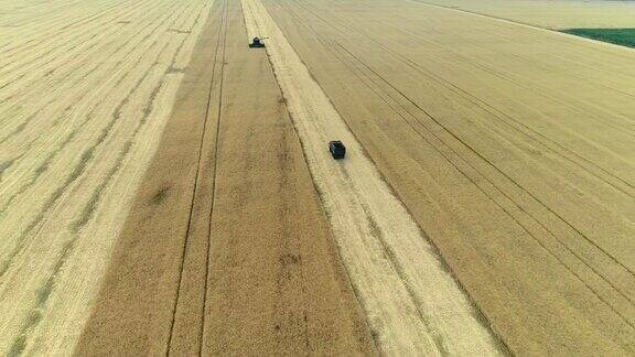 鸟瞰图上的联合收割机和拖拉机在大麦田里工作收割机在麦田里工作绿色收割机在田间工作