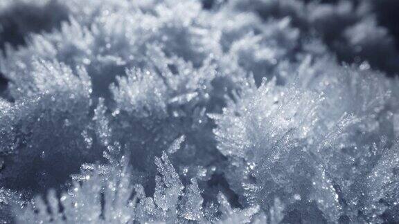 积雪冰晶近距离特写