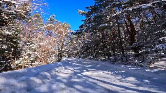 在冰雪覆盖的山路上行驶