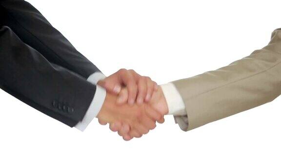 在白色背景下的商务握手两个男人握手
